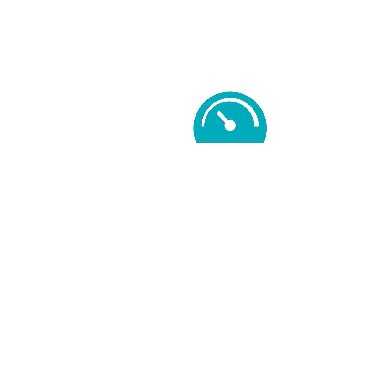 OCPP Compliant: Integrates easily with most back-office platforms