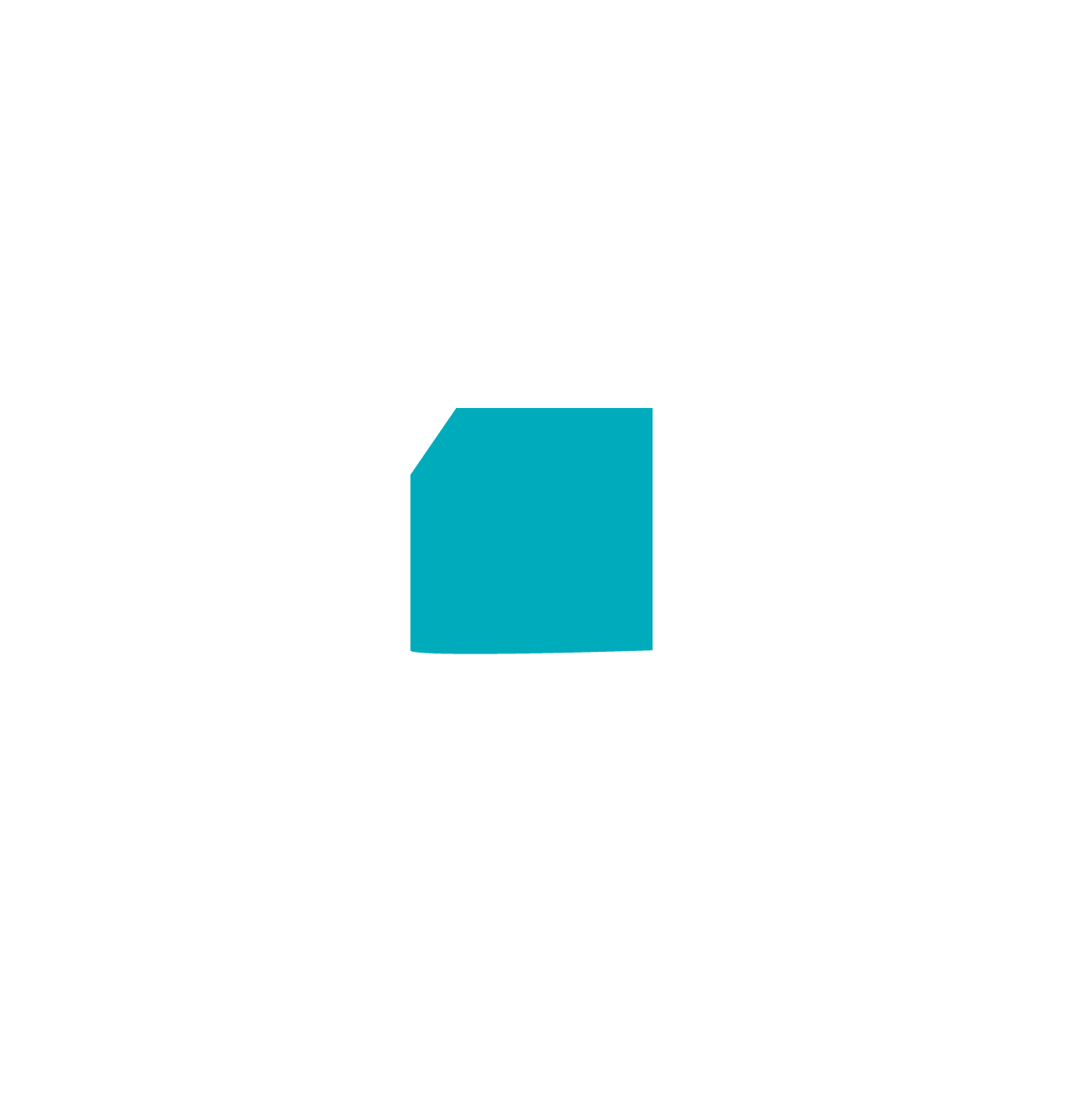 Integration Experience with Multiple Image Sensors